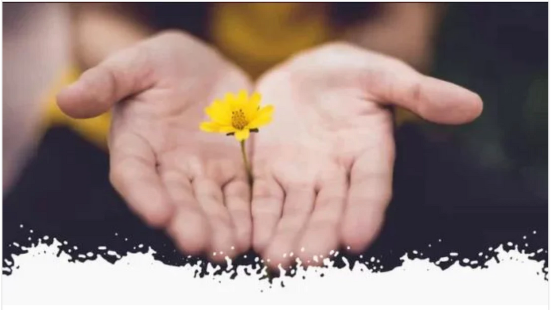 Random Acts of Kindness: The Art of Surprise and Delight